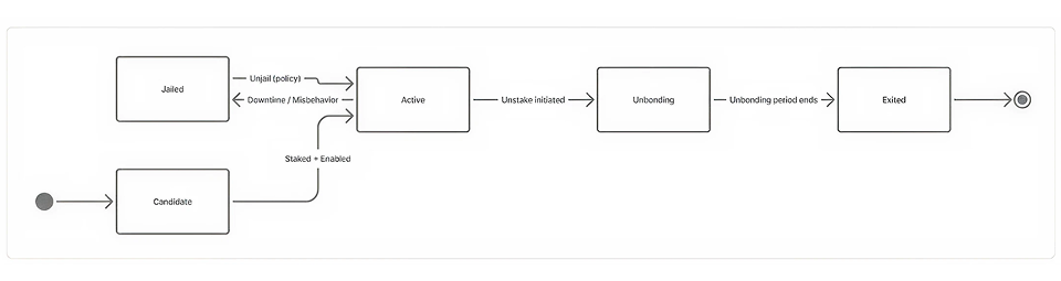 Validator Lifecycle Diagram
