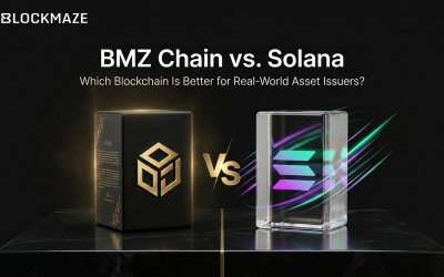 BMZ Chain vs. Solana: Which Blockchain Is Better for Real-World Asset Issuers?