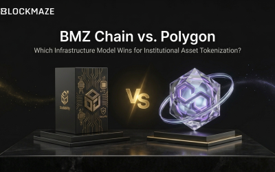 BMZ Chain vs. Polygon: Which Infrastructure Model Wins for Institutional Asset Tokenization?