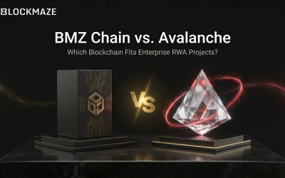 BMZ Chain vs. Avalanche: Which Blockchain Fits Enterprise RWA Projects?