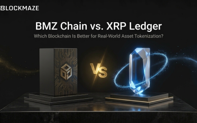 BMZ Chain vs. XRP Ledger for Real-World Asset Tokenization