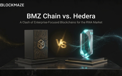BMZ Chain vs. Hedera: A Clash of Enterprise-Focused Blockchains for the RWA Market