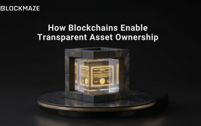 How Blockchains Enable Transparent Asset Ownership